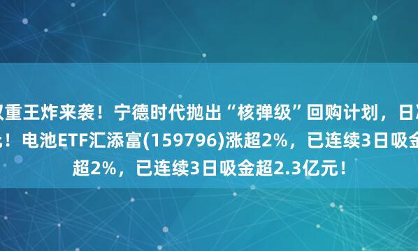 双重王炸来袭！宁德时代抛出“核弹级”回购计划，日净赚约2.4亿元！电池ETF汇添富(159796)涨超2%，已连续3日吸金超2.3亿元！