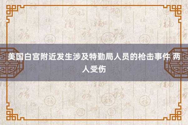 美国白宫附近发生涉及特勤局人员的枪击事件 两人受伤