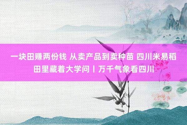 一块田赚两份钱 从卖产品到卖种苗 四川米易稻田里藏着大学问丨万千气象看四川
