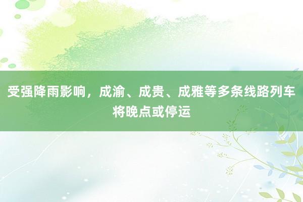受强降雨影响，成渝、成贵、成雅等多条线路列车将晚点或停运