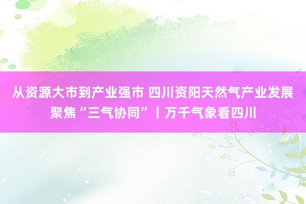 从资源大市到产业强市 四川资阳天然气产业发展聚焦“三气协同”丨万千气象看四川