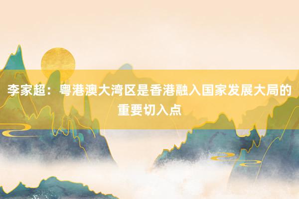 李家超：粤港澳大湾区是香港融入国家发展大局的重要切入点