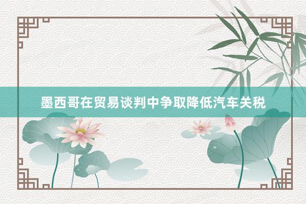 墨西哥在贸易谈判中争取降低汽车关税