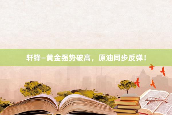 轩锋—黄金强势破高，原油同步反弹！
