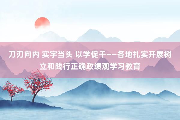 刀刃向内 实字当头 以学促干——各地扎实开展树立和践行正确政绩观学习教育