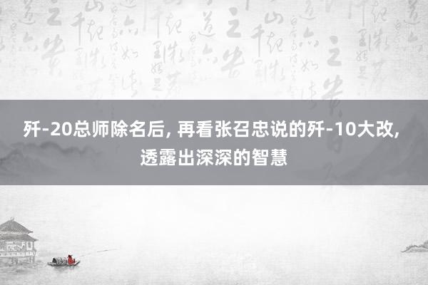 歼-20总师除名后, 再看张召忠说的歼-10大改, 透露出深深的智慧