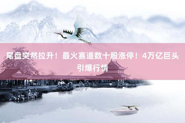 尾盘突然拉升！最火赛道数十股涨停！4万亿巨头引爆行情