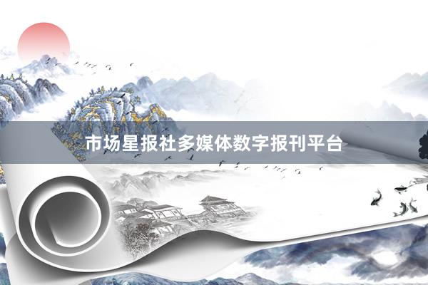 市场星报社多媒体数字报刊平台