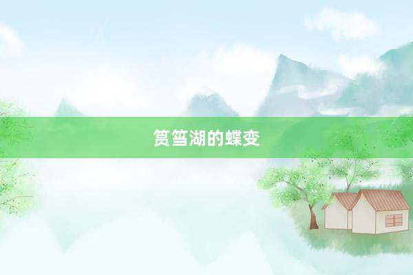 筼筜湖的蝶变