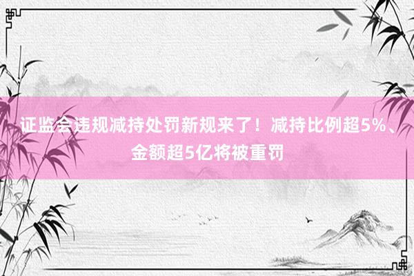 证监会违规减持处罚新规来了！减持比例超5%、金额超5亿将被重罚