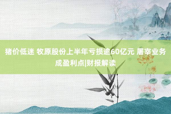 猪价低迷 牧原股份上半年亏损逾60亿元 屠宰业务成盈利点|财报解读