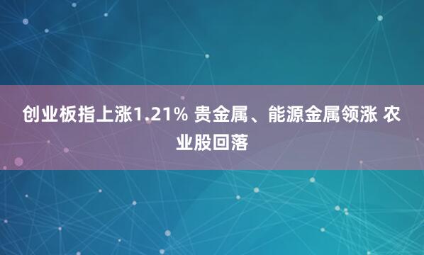 创业板指上涨1.21% 贵金属、能源金属领涨 农业股回落