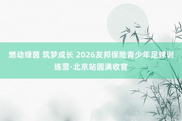 燃动绿茵 筑梦成长 2026友邦保险青少年足球训练营·北京站圆满收官