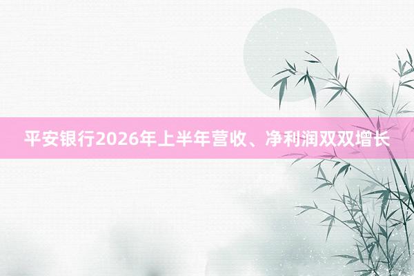 平安银行2026年上半年营收、净利润双双增长