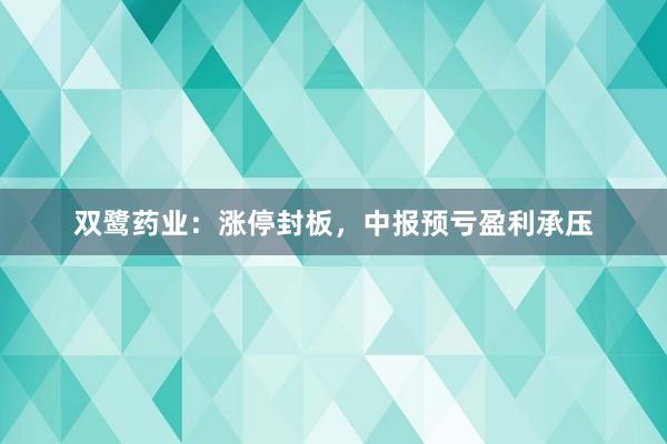双鹭药业：涨停封板，中报预亏盈利承压