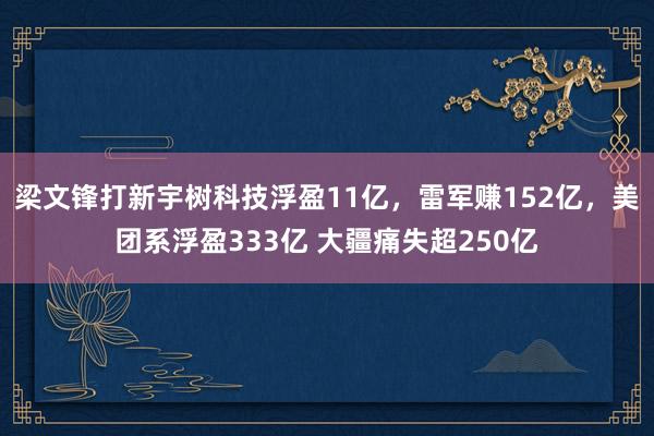 梁文锋打新宇树科技浮盈11亿，雷军赚152亿，美团系浮盈333亿 大疆痛失超250亿