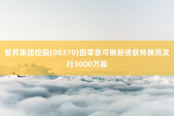 智昇集团控股(08370)因零息可换股债获转换而发行3000万股