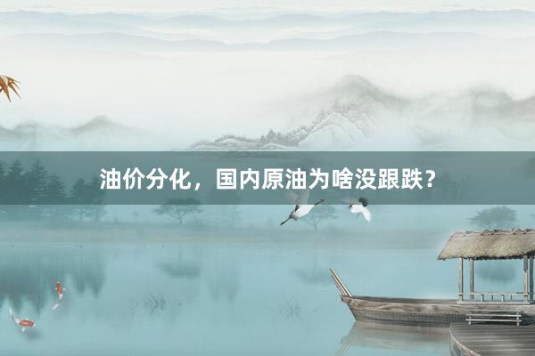 油价分化，国内原油为啥没跟跌？