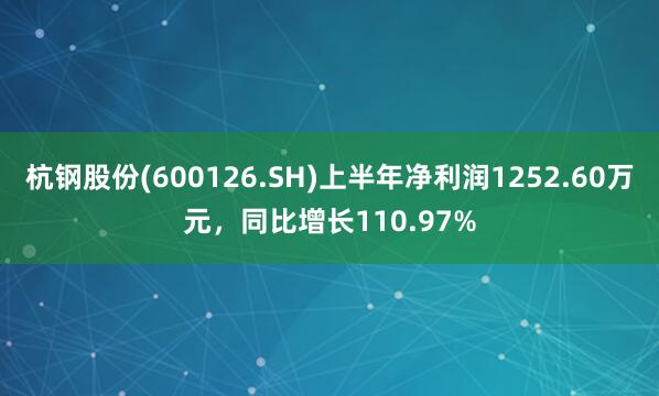 杭钢股份(600126.SH)上半年净利润1252.60万元，同比增长110.97%