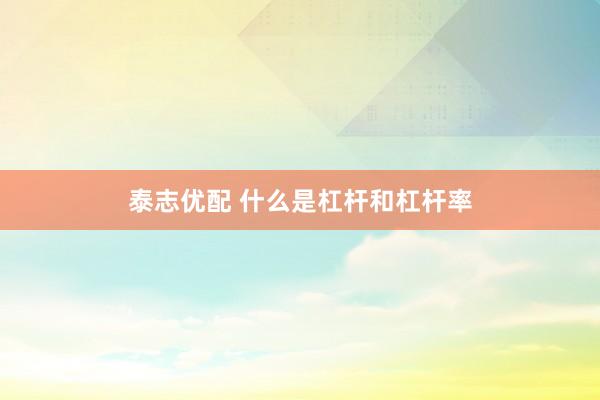 泰志优配 什么是杠杆和杠杆率