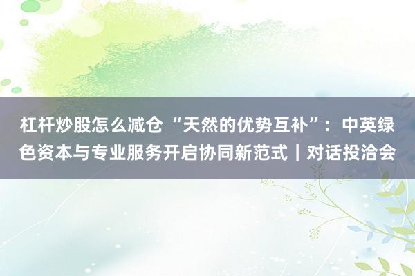 杠杆炒股怎么减仓 “天然的优势互补”：中英绿色资本与专业服务开启协同新范式｜对话投洽会