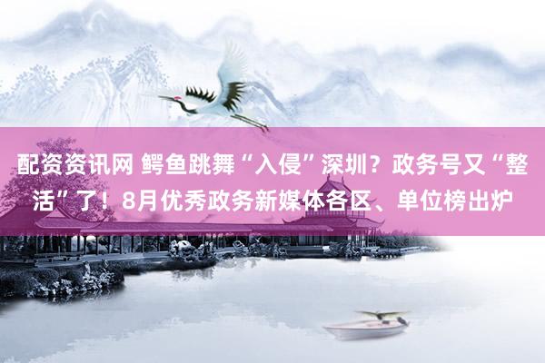 配资资讯网 鳄鱼跳舞“入侵”深圳？政务号又“整活”了！8月优秀政务新媒体各区、单位榜出炉