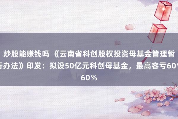 炒股能赚钱吗 《云南省科创股权投资母基金管理暂行办法》印发:拟设50亿元科创母基金,最高容亏60%