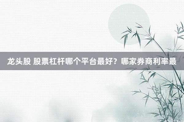 龙头股 股票杠杆哪个平台最好？哪家券商利率最