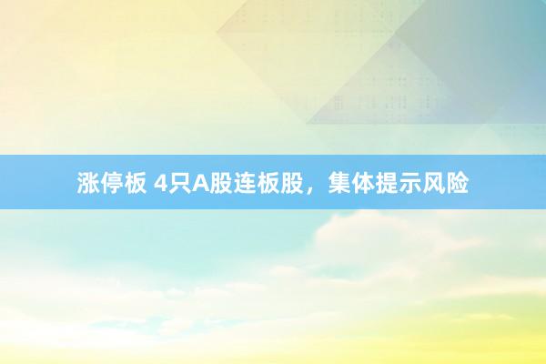 涨停板 4只A股连板股，集体提示风险