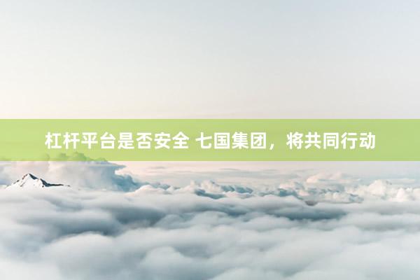 杠杆平台是否安全 七国集团,将共同行动