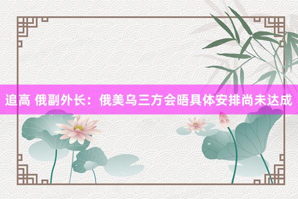 追高 俄副外长：俄美乌三方会晤具体安排尚未达成