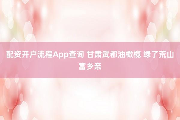 配资开户流程App查询 甘肃武都油橄榄 绿了荒山富乡亲