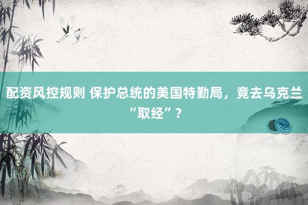 配资风控规则 保护总统的美国特勤局，竟去乌克兰“取经”？