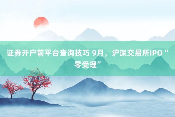证券开户前平台查询技巧 9月，沪深交易所IPO“零受理”